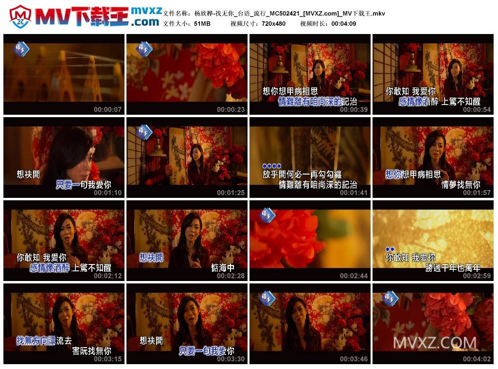 杨欣桦-找无你_台语_流行_MC502421